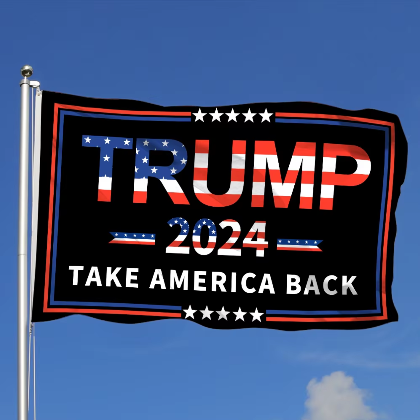 TAKE AMERICA BACK FLAG