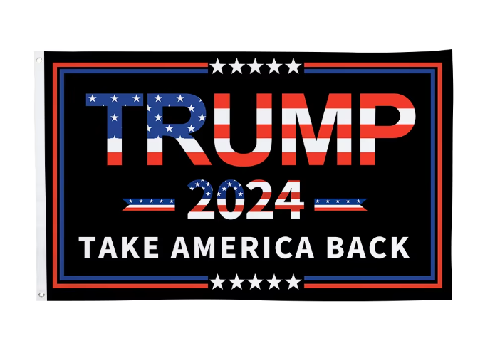 TAKE AMERICA BACK FLAG